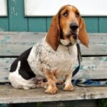 南宫问鼎娱乐:揭示明星背后的真实故事与心路历程 5av1t8oec