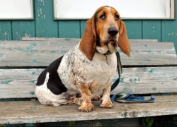 南宫问鼎娱乐:揭示明星背后的真实故事与心路历程 南宫问鼎娱乐:揭示明星背后的真实故事与心路历程