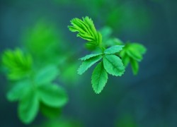 ng官网的行业动态与市场趋势分析 ng官网的行业动态与市场趋势分析