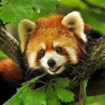 ng导航在现代网络中的重要性分析 78j10uzoe8