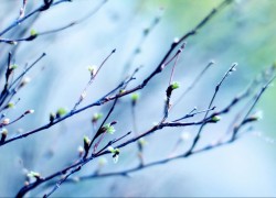 ng导航在博客网站中的布局与设计技巧 ng导航在博客网站中的布局与设计技巧