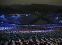 如何在ng官网上注册并创建账户 如何在ng官网上注册并创建账户