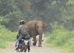 ng导航的未来发展趋势与技术展望 ng导航的未来发展趋势与技术展望