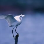 南宫旗下PG的消费者行为研究与分析 pzvogchn3