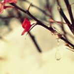 ng导航与用户界面的协同设计策略 qn64mps9e0