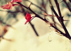 ng导航与用户界面的协同设计策略 ng导航与用户界面的协同设计策略