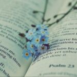 使用ng导航提升内容发现的效率 tes1zsu5