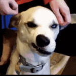 南宫旗下PG的可持续发展与环保措施 xedv0pm