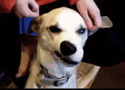 南宫旗下PG的可持续发展与环保措施 南宫旗下PG的可持续发展与环保措施